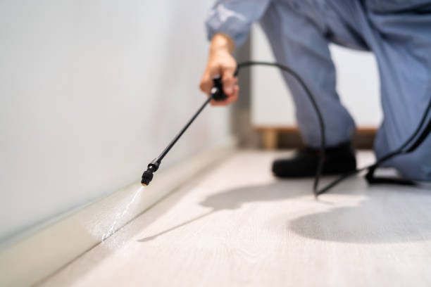 Licensed Termite Control service in North Braddock, PA - Show Me Pest Control