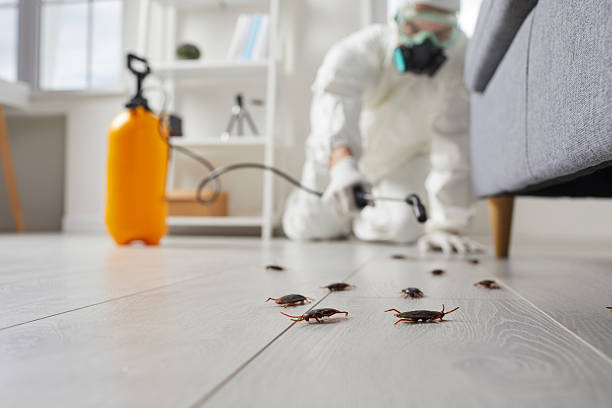 Commercial Kitchen Cockroach Control in North Braddock